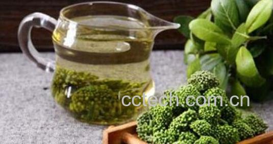 女人喝田七花茶的功效与作用-0