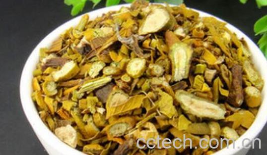 桑寄生茶怎么做 桑寄生茶的正确做法-0