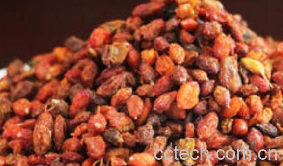 沙棘茶喝死人是真的吗 沙棘茶的副作用与禁忌-0