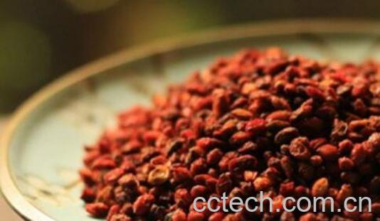 沙棘茶喝死人是真的吗 沙棘茶的副作用与禁忌-1