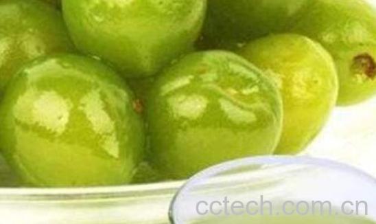 青梅绿茶制作方法-1