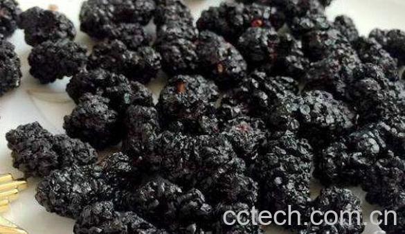 黑桑葚干泡水喝的功效-1