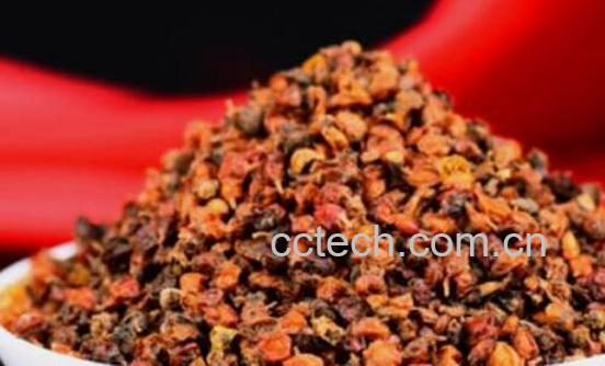 沙棘茶的功效与作用 沙棘茶的副作用-1