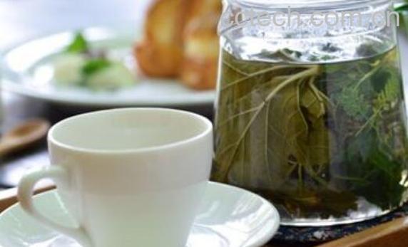 香草茶的功效与作用及食用方法-1
