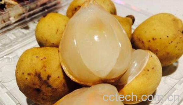 龙宫果怎么吃 吃龙宫果的禁忌-0