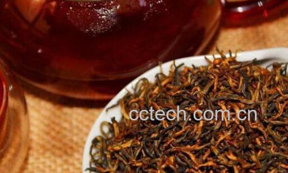 古树红茶适合什么人喝 什么人不能喝古树红茶-0