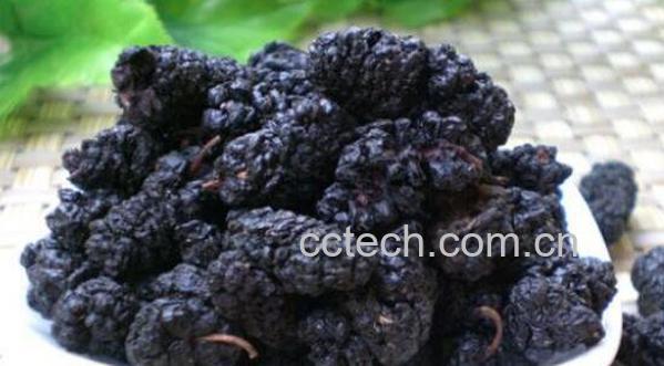 黑桑葚怎么吃 黑桑葚的食用方法-0