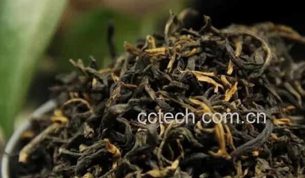 古树红茶适合什么人喝 什么人不能喝古树红茶-1