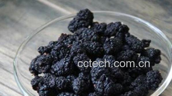 黑桑葚怎么吃 黑桑葚的食用方法-1