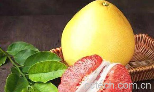  红心柚为什么是苦的 红心柚子怎么挑-0