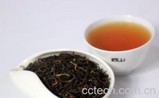 古树红茶怎么泡 古树红茶的正确泡法-1