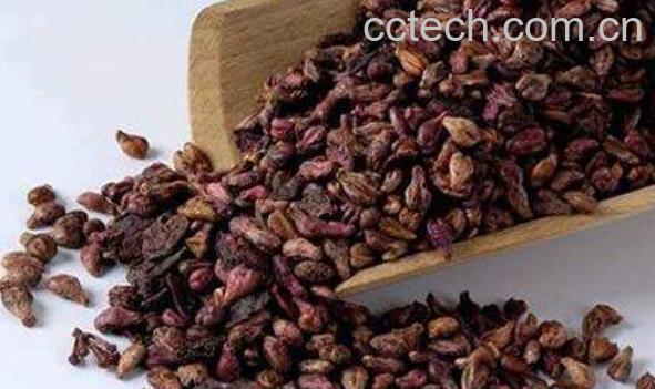 葡萄子的功效与作用-0