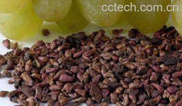 葡萄子的功效与作用-1