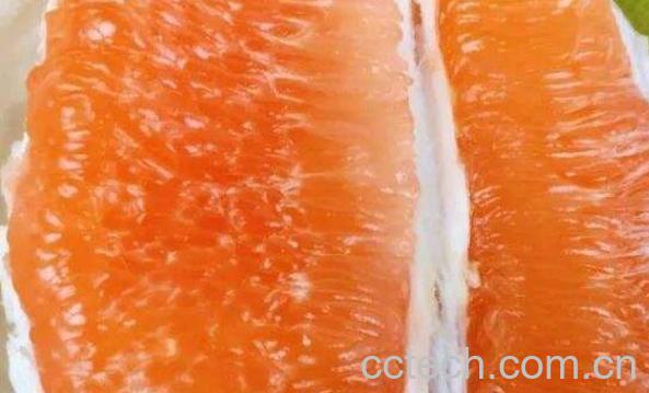 黄心柚为什么那么苦 黄心柚子有什么营养-1