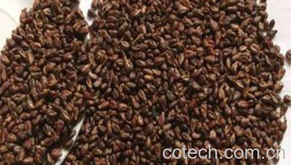 葡萄籽的功效与作用 吃葡萄籽的好处-0