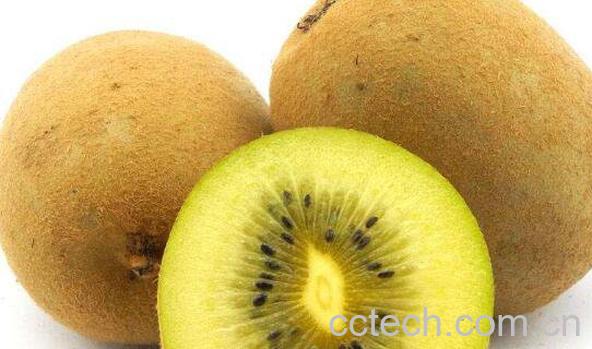 黄心猕猴桃的功效与作用 黄心猕猴桃图片-1