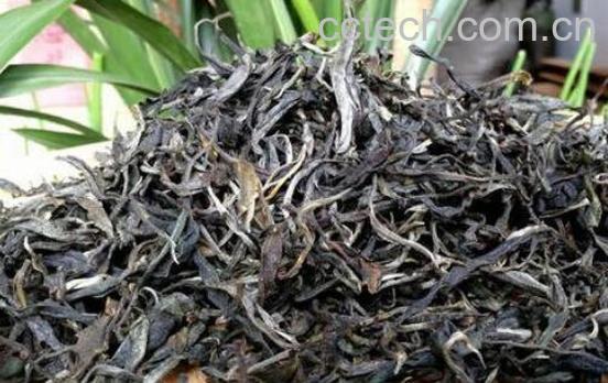 喝普洱生茶与熟茶的区别-0