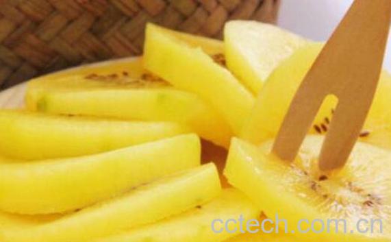黄心猕猴桃怎么吃 黄心猕猴桃的吃法技巧-1