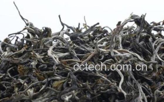 喝普洱生茶与熟茶的区别-1