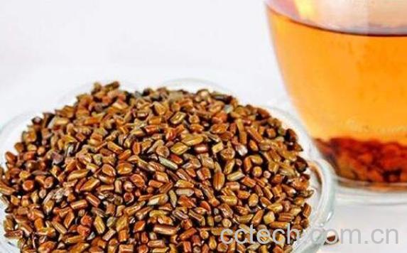 决明子茶的功效与作用及禁忌-0