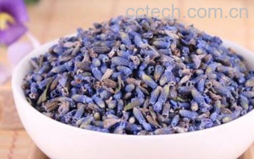 薰衣草茶的功效与作用及禁忌-1