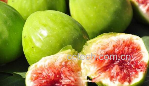 新鲜无花果怎么吃 新鲜无花果的功效与作用-0