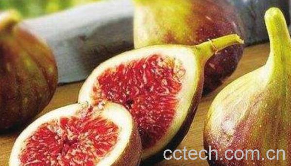 新鲜无花果怎么吃 新鲜无花果的功效与作用-1