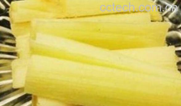 孕妇能吃甘蔗吗 孕妇吃甘蔗的好处和坏处-1