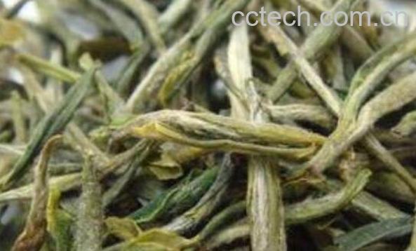  雅安黄茶的功效与作用 雅安黄茶怎么喝-1