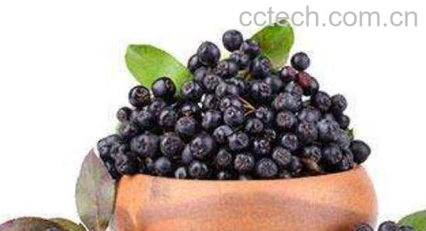 野樱莓泡水喝功效与作用-0