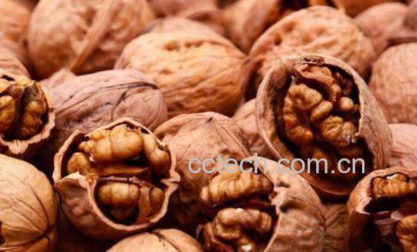 吃核桃有什么好处和坏处-1