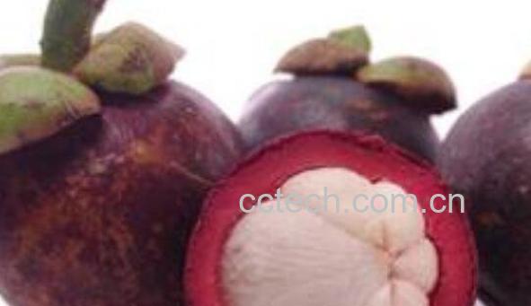 去火的水果有哪些 吃什么水果降火最快-1