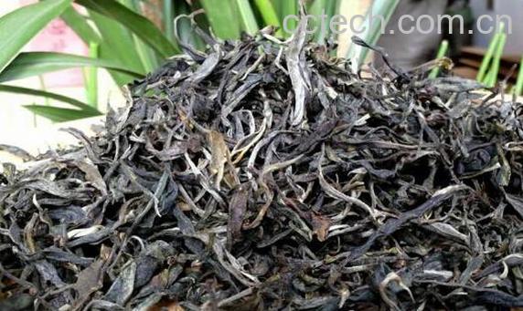 如何冲泡古树熟茶 古树普洱熟茶怎么泡-1