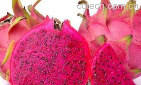 吃火龙果有什么好处 吃火龙果的功效与作用-0