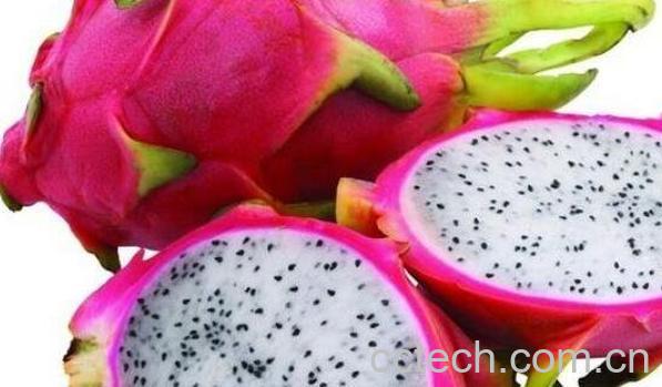 吃火龙果有什么好处 吃火龙果的功效与作用-1
