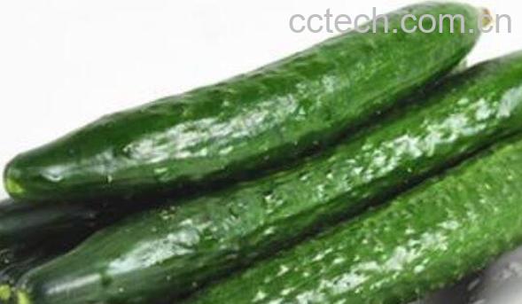 吃橘子上火吗 哪些食物能降火-1