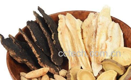 桔甘茶有什么好处 桔甘茶的功效与作用-1