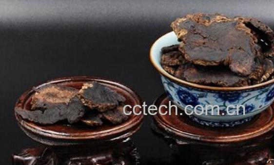 首乌茶的功效与作用 首乌茶什么人不能喝-1