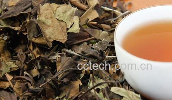 寿眉茶的功效与作用 哪些人不能喝寿眉茶-0