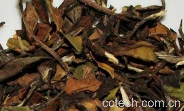 寿眉茶的功效与作用 哪些人不能喝寿眉茶-1