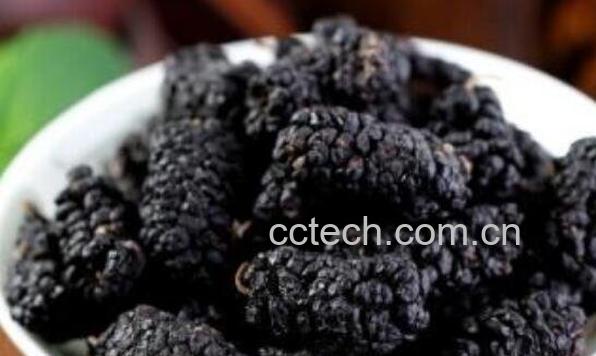 黑桑果的功效与作用-1