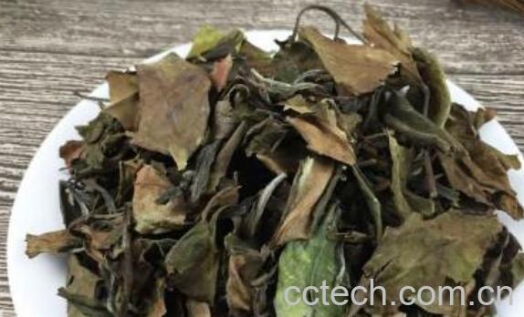 寿眉茶怎么泡 寿眉茶的正确泡法-1