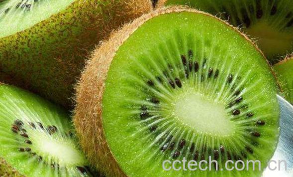 猕猴桃怎么吃 猕猴桃吃多了会怎么样-0