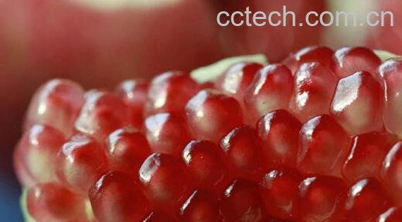 石榴籽能吃吗 石榴籽吃多了会怎么样-1