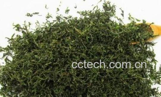 酸枣叶茶的功效与作用 喝酸枣叶茶的好处-1