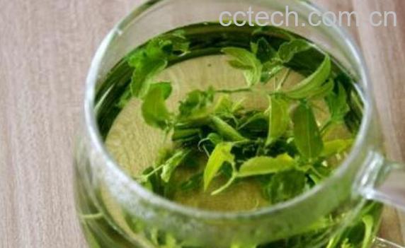 酸枣叶茶制作方法 自制酸枣叶茶技巧教程-0