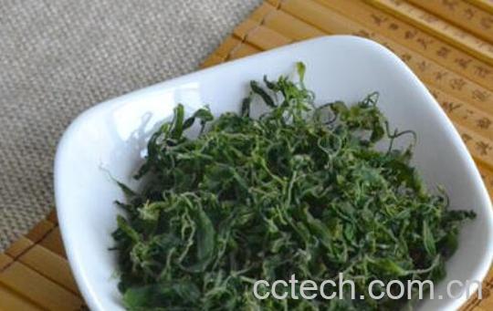 自制酸枣叶茶技巧教程-1