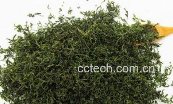 酸枣芽茶的功效与副作用-1