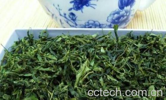 酸枣芽茶的功效与副作用-0