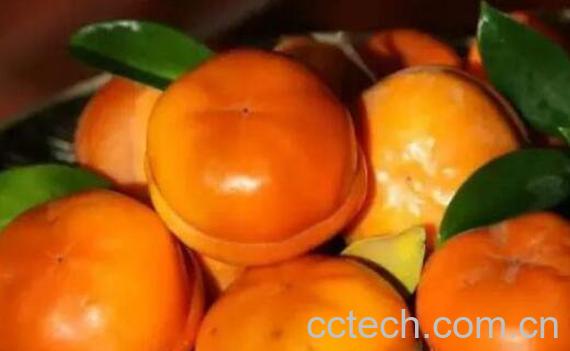 怎样让柿子不涩又脆 生柿子怎么泡又脆又甜-0